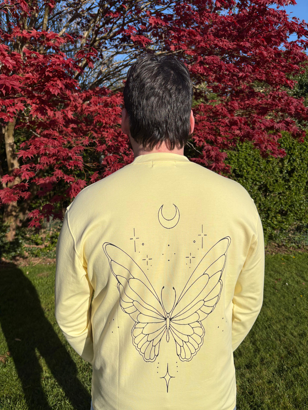 Colias Yellow